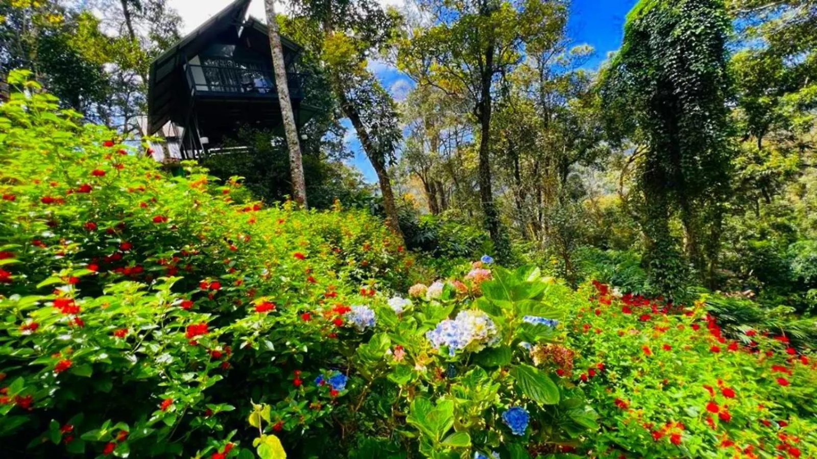 Bamboo Dale Resort, Munnar 2*,  India