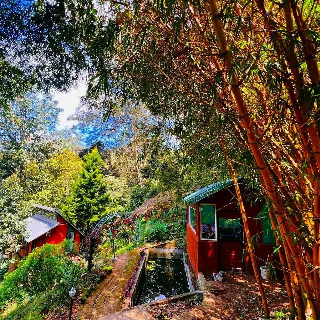 Bamboo Dale Resort, Munnar 2*,
