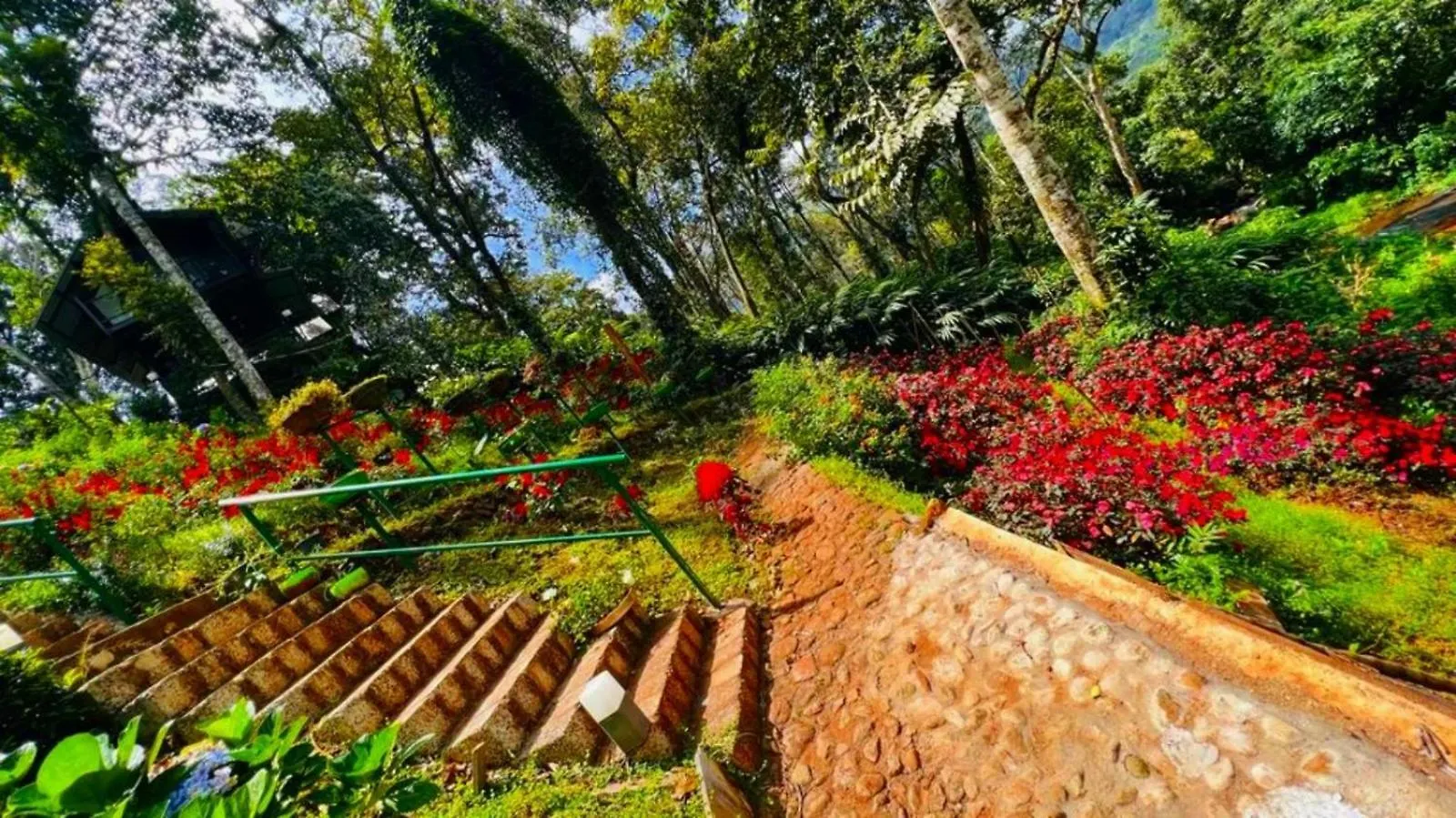 ** Resort Bamboo Dale Resort, Munnar India