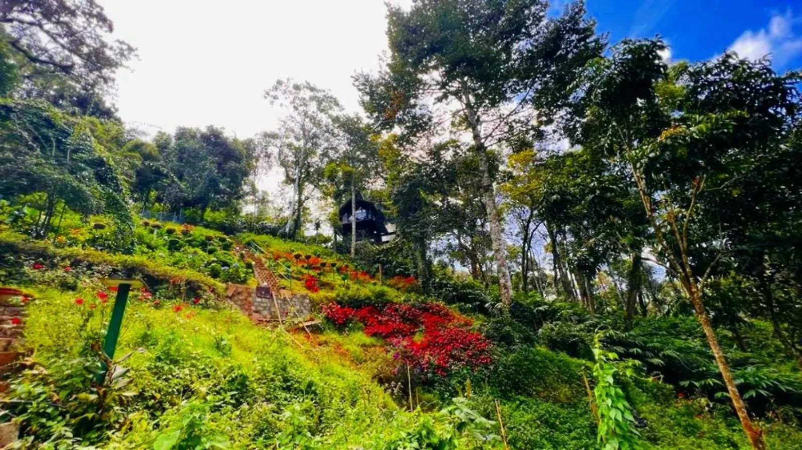Bamboo Dale Resort, Munnar