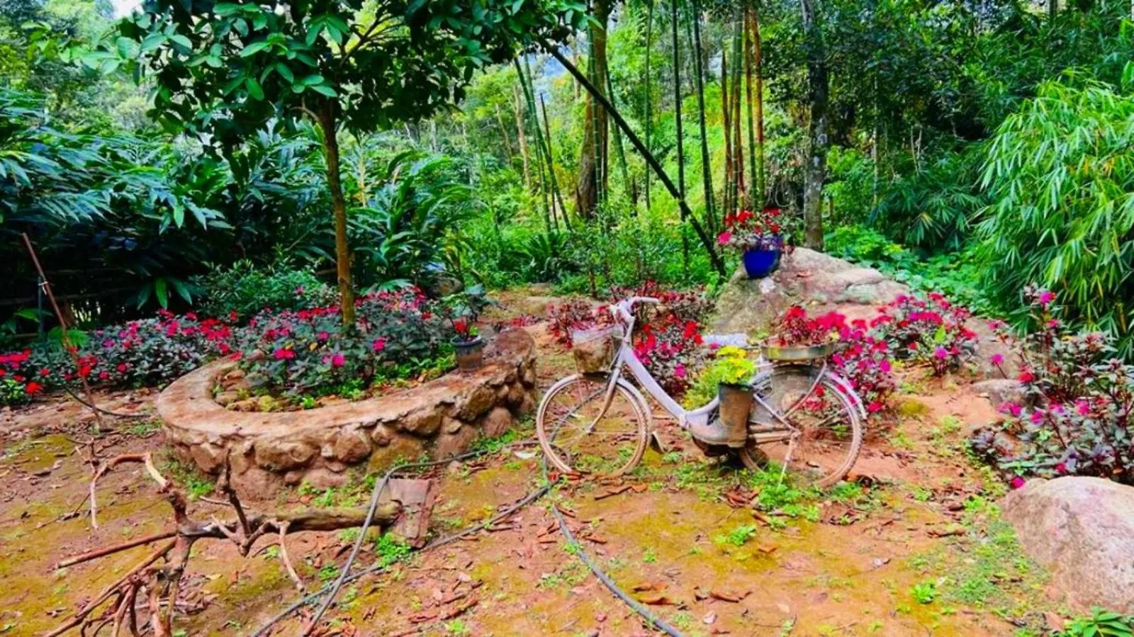 Bamboo Dale Resort, Munnar 2*,