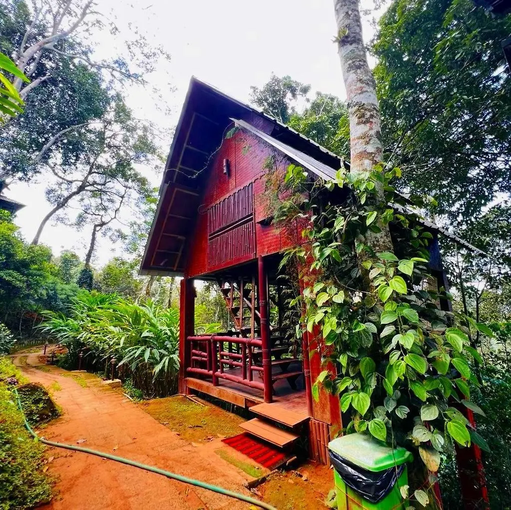 Bamboo Dale Resort, Munnar