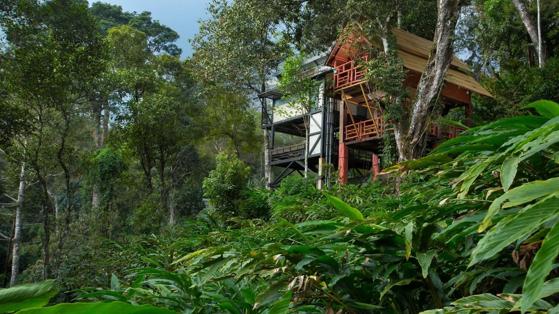 Bamboo Dale Resort, Munnar 2*,  India