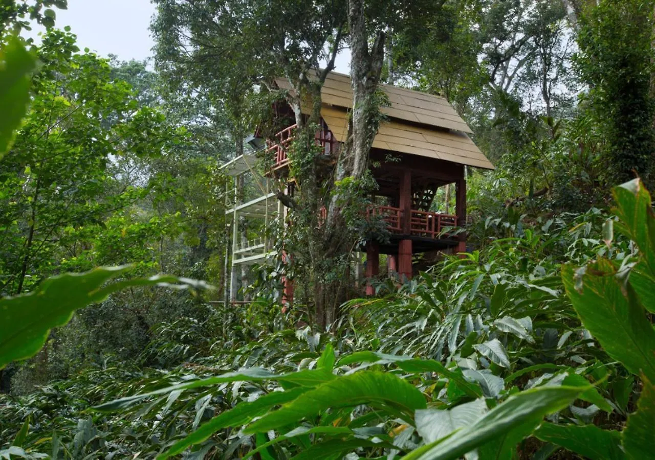 Bamboo Dale Resort, Munnar India
